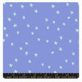 Starry Dusk