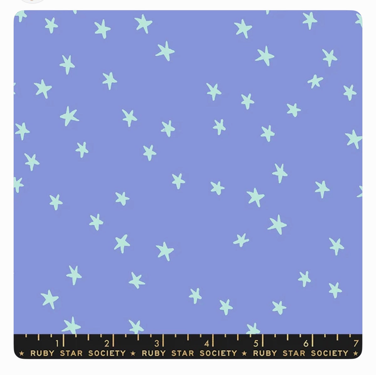 Starry Dusk