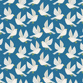 LVH Blue Birds