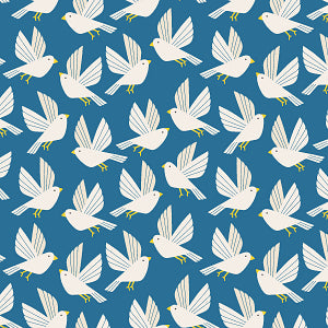 LVH Blue Birds